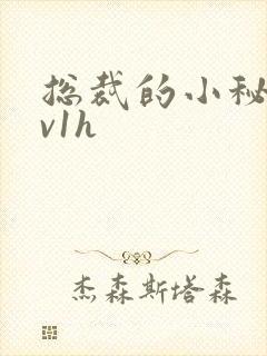 总裁的小秘书1v1h