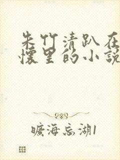 朱竹清趴在唐三怀里的小说封面