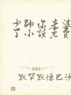 少帅你老婆又跑了小说免费阅读
