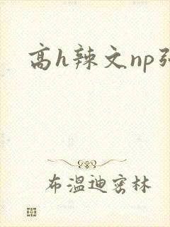 高h辣文np强