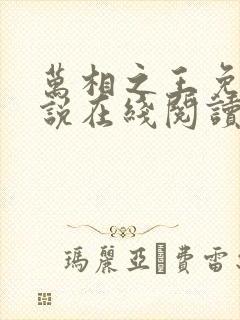 万相之王免费小说在线阅读