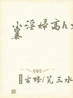 小淫妇高h文黄暴