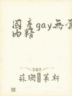 国产gay无套内精