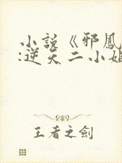 小说《邪凤重生:逆天二小姐》