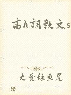 高h调教文sm