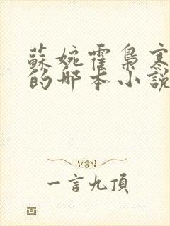 苏婉霍枭寒模仿的哪本小说