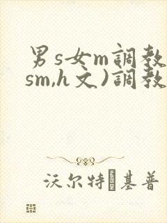 男s女m调教(sm,h文)调教小乳