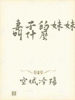 妻子的妹妹丈夫叫什么封面