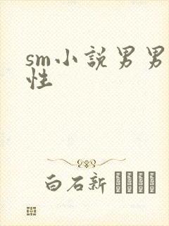 sm小说男男双性封面