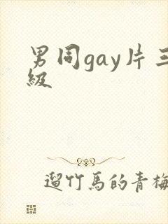 男同gay片三级