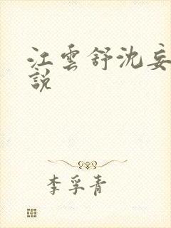 江云舒沈妄野小说