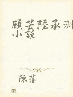 顾芒陆承洲宋薇小说