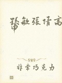孙敏张倩高义王申