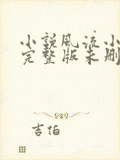 小说风流小傻医完整版未删减小说封面