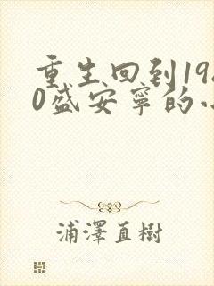 重生回到1980盛安宁的小说