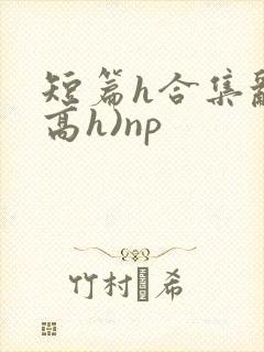 短篇h合集乱(高h)np