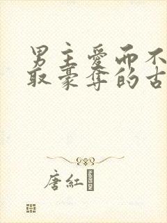 男主爱而不得强取豪夺的古言小说封面