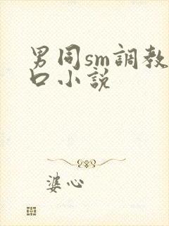 男同sm调教重口小说