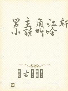 男主角江斯年的小说叫啥