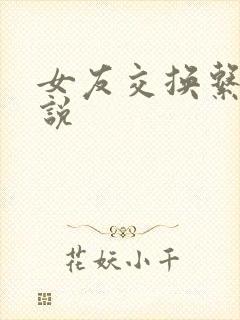 女友交换系列小说
