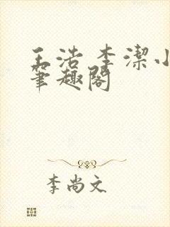 王浩 李洁小说笔趣阁