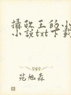 摄政王的小闲妻小说txt下载