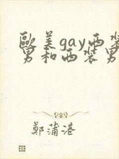 欧美gay西装男和西装男上床视频
