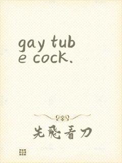 gay tube cock.封面