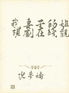 我妻子的姐姐电视剧在线观看