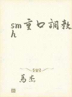 sm重口调教高h封面