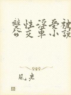 双性淫受被c批公交车小说