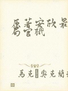 原著安欣最后结局官职