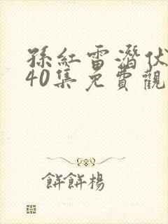 孙红雷潜伏完整40集免费观看