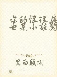 你的恨很廉价爱也是小说阅读