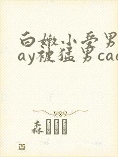 白嫩小受男男gay被猛男cao