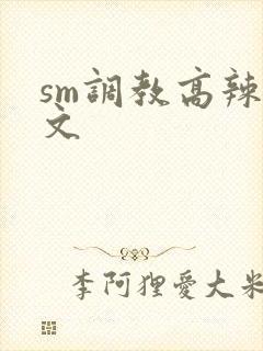 sm调教高辣h文