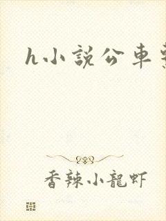 h小说公车系列