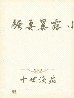 骚妻暴露 小说