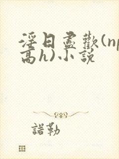 淫日尽欢(np高h)小说