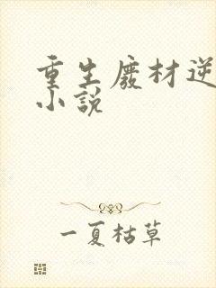 重生废材逆袭的小说