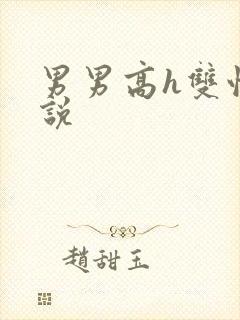 男男高h双性小说