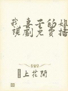 我妻子的姐姐电视剧免费播放
