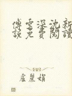 傅云深沈新桐小说免费阅读