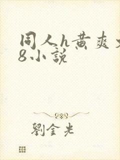 同人h黄爽文18小说