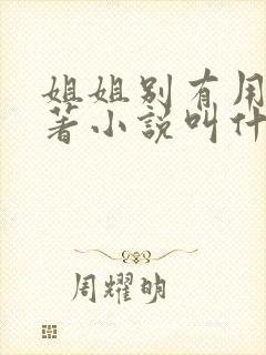 姐姐别有用心原著小说叫什么名字