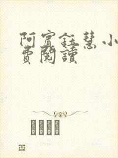 阿宾钰慧小说免费阅读