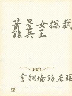 萧晨女总裁的全能兵王