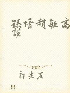 孙倩赵敏高义小说封面