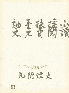 袖手扶摇小说全文免费阅读笔趣阁