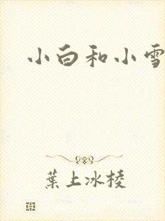 小白和小雪